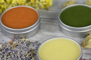 Best Herbal Salves: Natural Healing For Your Skin! | The Ultimate Herbal Remedies Guide: Natural Healing for a Healthier Life