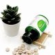 Top Herbal Supplement Suppliers: Your Guide & Reviews | The Ultimate Herbal Remedies Guide: Natural Healing for a Healthier Life