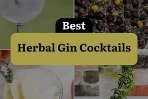 Discover the Best Herbal Gin: Aromatic & Smooth | The Ultimate Herbal Remedies Guide: Natural Healing for a Healthier Life