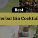 Discover the Best Herbal Gin: Aromatic & Smooth | The Ultimate Herbal Remedies Guide: Natural Healing for a Healthier Life