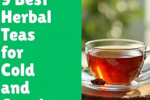 Top Best Herbal Teas for Cough Relief | The Ultimate Herbal Remedies Guide: Natural Healing for a Healthier Life