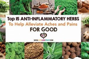 Top Herbal Anti Inflammatory Remedies [Guide] | The Ultimate Herbal Remedies Guide: Natural Healing for a Healthier Life