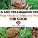 Top Herbal Anti Inflammatory Remedies [Guide] | The Ultimate Herbal Remedies Guide: Natural Healing for a Healthier Life
