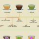 The Best Caffeine-Free Herbal Teas: Benefits &amp; Beyond | The Ultimate Herbal Remedies Guide: Natural Healing for a Healthier Life