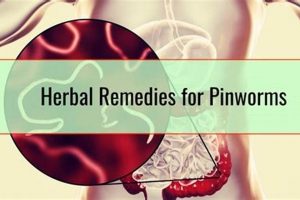 Natural Herbal Remedies for Pinworms: Relief + Prevention | The Ultimate Herbal Remedies Guide: Natural Healing for a Healthier Life