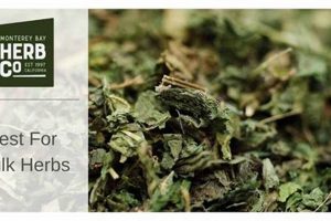 Local Herbs: Herbal Wholesaler Hill Country Co for You | The Ultimate Herbal Remedies Guide: Natural Healing for a Healthier Life