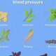 Best Herbals for Blood Pressure: Benefits & Risks | The Ultimate Herbal Remedies Guide: Natural Healing for a Healthier Life
