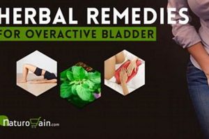 Natural Herbal Remedies for OAB: A Guide + Relief | The Ultimate Herbal Remedies Guide: Natural Healing for a Healthier Life