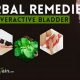 Natural Herbal Remedies for OAB: A Guide + Relief | The Ultimate Herbal Remedies Guide: Natural Healing for a Healthier Life