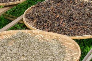 Buy Bulk: Herbal Tea Wholesale Deals + Benefits | The Ultimate Herbal Remedies Guide: Natural Healing for a Healthier Life