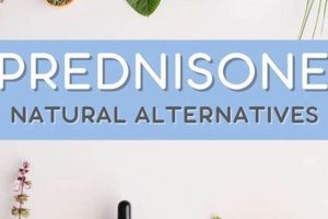 Natural Herbal Alternative to Prednisone: Safe Relief? | The Ultimate Herbal Remedies Guide: Natural Healing for a Healthier Life