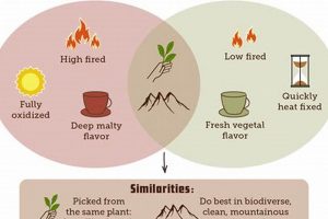 Brewing Black Tea vs Herbal Tea: A Healthy Guide | The Ultimate Herbal Remedies Guide: Natural Healing for a Healthier Life