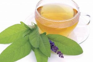 The Benefits of Sage Herbal Tea: A Soothing Elixir | The Ultimate Herbal Remedies Guide: Natural Healing for a Healthier Life