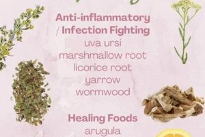 Natural UTI Relief: Best Herbal Remedy for UTI Guide | The Ultimate Herbal Remedies Guide: Natural Healing for a Healthier Life