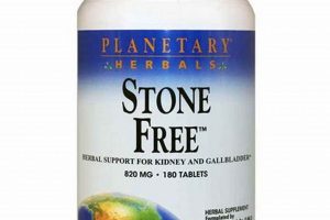 Buy Planetary Herbals Stone Free: Kidney Support | The Ultimate Herbal Remedies Guide: Natural Healing for a Healthier Life