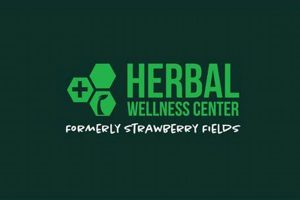 Boost Your Health: Herbal Wellness Menu Options Today! | The Ultimate Herbal Remedies Guide: Natural Healing for a Healthier Life