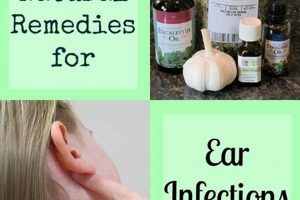 Natural Ear Infection Herbal Remedy Tips & Relief | The Ultimate Herbal Remedies Guide: Natural Healing for a Healthier Life