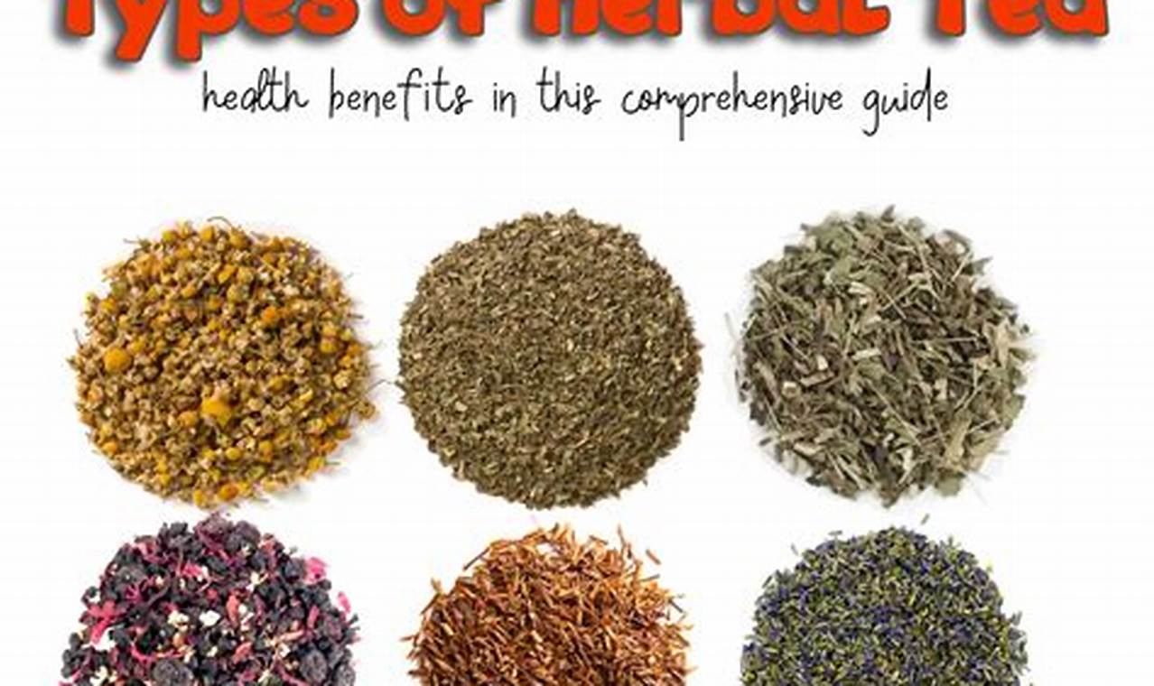 Find Your Best Herbal: A Guide to Natural Remedies The Ultimate Herbal Remedies Guide: Natural Healing for a Healthier Life Find Your Best Herbal: A Guide to Natural Remedies | The Ultimate Herbal Remedies Guide: Natural Healing for a Healthier Life