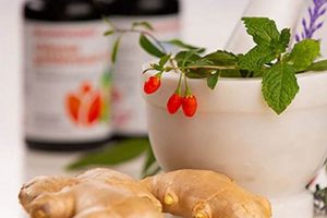 Benefits of Herbal Foods: Your Guide to Natural Wellness | The Ultimate Herbal Remedies Guide: Natural Healing for a Healthier Life