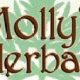 Shop Molly's Herbals: Natural Herbal Remedies Online | The Ultimate Herbal Remedies Guide: Natural Healing for a Healthier Life