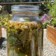 Brew Delicious Herbal Sun Tea: Recipes & Tips | The Ultimate Herbal Remedies Guide: Natural Healing for a Healthier Life