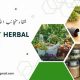 Discover Honest Herbal Remedies: Your Guide! | The Ultimate Herbal Remedies Guide: Natural Healing for a Healthier Life