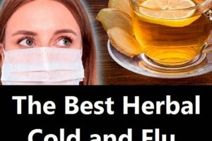 Top Herbal Remedy for Flu: Natural Relief Guide | The Ultimate Herbal Remedies Guide: Natural Healing for a Healthier Life
