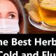 Top Herbal Remedy for Flu: Natural Relief Guide | The Ultimate Herbal Remedies Guide: Natural Healing for a Healthier Life