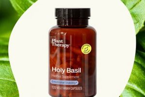Boost Wellness: Holy Basil Herbal Supplement Guide | The Ultimate Herbal Remedies Guide: Natural Healing for a Healthier Life