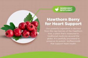 Best Hawthorn Herbal Supplements: Benefits & Guide | The Ultimate Herbal Remedies Guide: Natural Healing for a Healthier Life