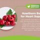 Best Hawthorn Herbal Supplements: Benefits & Guide | The Ultimate Herbal Remedies Guide: Natural Healing for a Healthier Life