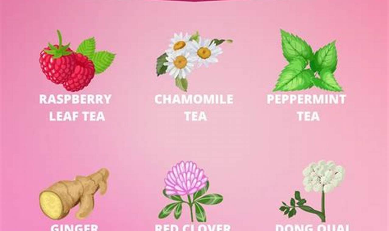 Best Herbal Tea for Period Pain Relief + Tips | The Ultimate Herbal Remedies Guide: Natural Healing for a Healthier Life