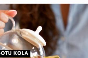 Natural Boost: Herbal Teas for Energy &amp; Vitality | The Ultimate Herbal Remedies Guide: Natural Healing for a Healthier Life