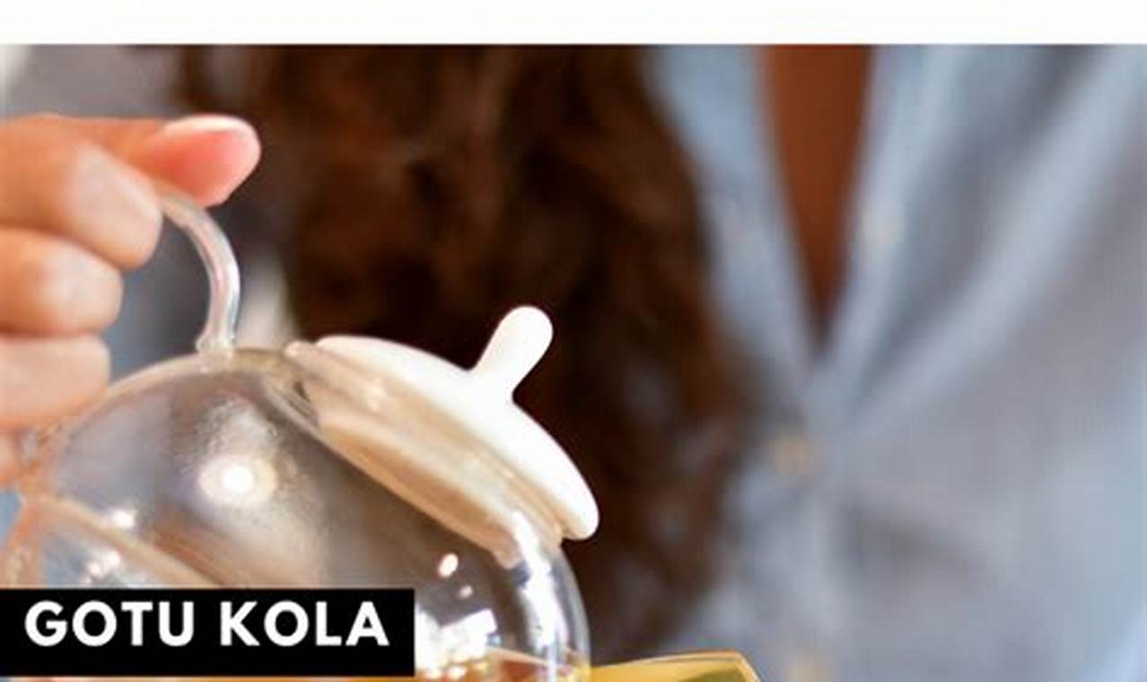 Natural Boost: Herbal Teas for Energy &amp; Vitality | The Ultimate Herbal Remedies Guide: Natural Healing for a Healthier Life