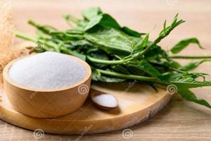 Natural Sugar Herbal Treatment: Benefits & Uses The Ultimate Herbal Remedies Guide: Natural Healing for a Healthier Life Natural Sugar Herbal Treatment: Benefits & Uses | The Ultimate Herbal Remedies Guide: Natural Healing for a Healthier Life