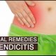 Natural Appendicitis Herbal Remedies: Relief &amp; Info | The Ultimate Herbal Remedies Guide: Natural Healing for a Healthier Life