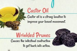 Best Herbal Remedy for Constipation: Natural Relief The Ultimate Herbal Remedies Guide: Natural Healing for a Healthier Life Best Herbal Remedy for Constipation: Natural Relief | The Ultimate Herbal Remedies Guide: Natural Healing for a Healthier Life