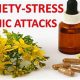 Natural Calm: Herbal Anti-Anxiety Meds & Remedies | The Ultimate Herbal Remedies Guide: Natural Healing for a Healthier Life