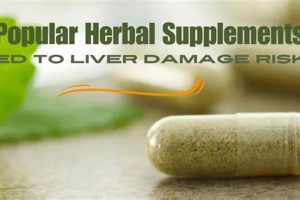 Understanding Herbal Supplements: Risks &amp; Safety | The Ultimate Herbal Remedies Guide: Natural Healing for a Healthier Life