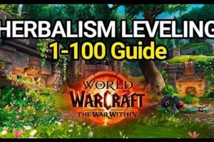 Top Herbalism Gear: War Within Survival Kit The Ultimate Herbal Remedies Guide: Natural Healing for a Healthier Life Top Herbalism Gear: War Within Survival Kit | The Ultimate Herbal Remedies Guide: Natural Healing for a Healthier Life