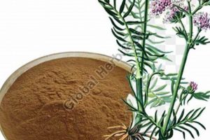 Calm & Sleep: Valerian Herbal Extract Benefits The Ultimate Herbal Remedies Guide: Natural Healing for a Healthier Life Calm & Sleep: Valerian Herbal Extract Benefits | The Ultimate Herbal Remedies Guide: Natural Healing for a Healthier Life