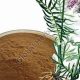 Calm & Sleep: Valerian Herbal Extract Benefits | The Ultimate Herbal Remedies Guide: Natural Healing for a Healthier Life