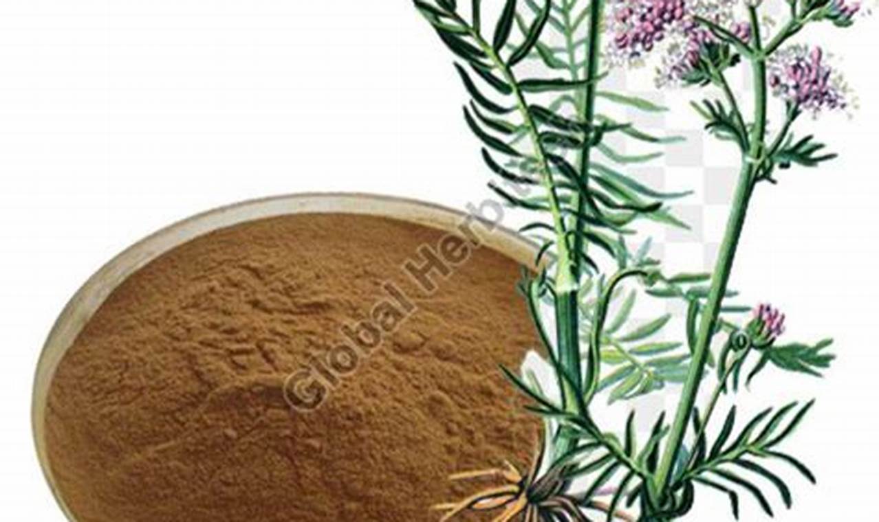 Calm & Sleep: Valerian Herbal Extract Benefits | The Ultimate Herbal Remedies Guide: Natural Healing for a Healthier Life