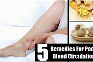 Natural Herbal Remedies for Poor Blood Circulation Boost The Ultimate Herbal Remedies Guide: Natural Healing for a Healthier Life Natural Herbal Remedies for Poor Blood Circulation Boost | The Ultimate Herbal Remedies Guide: Natural Healing for a Healthier Life