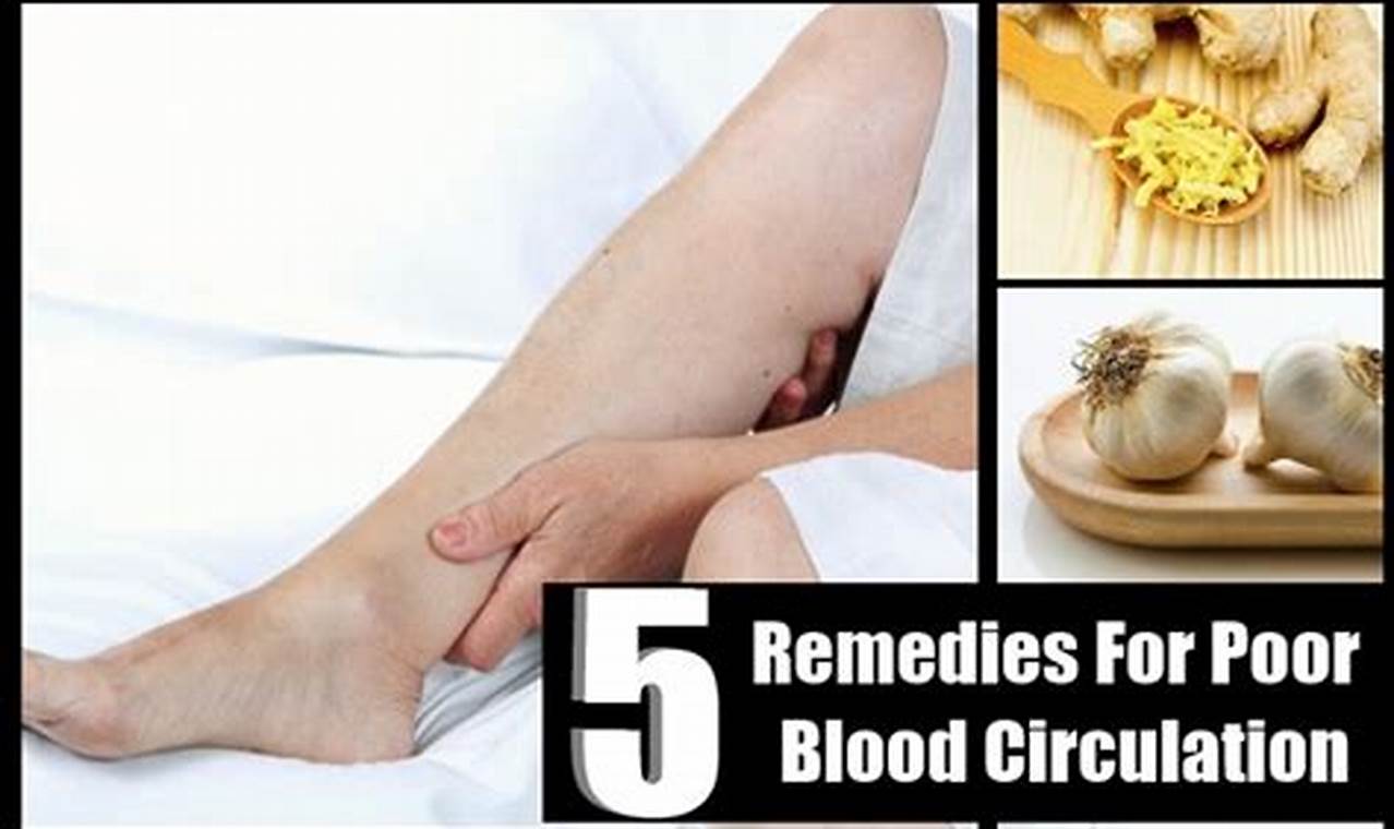 Natural Herbal Remedies for Poor Blood Circulation Boost The Ultimate Herbal Remedies Guide: Natural Healing for a Healthier Life Natural Herbal Remedies for Poor Blood Circulation Boost | The Ultimate Herbal Remedies Guide: Natural Healing for a Healthier Life
