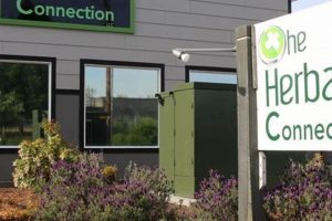 Local Herbal Connection Eugene, OR: Your Wellness Source The Ultimate Herbal Remedies Guide: Natural Healing for a Healthier Life Local Herbal Connection Eugene, OR: Your Wellness Source | The Ultimate Herbal Remedies Guide: Natural Healing for a Healthier Life