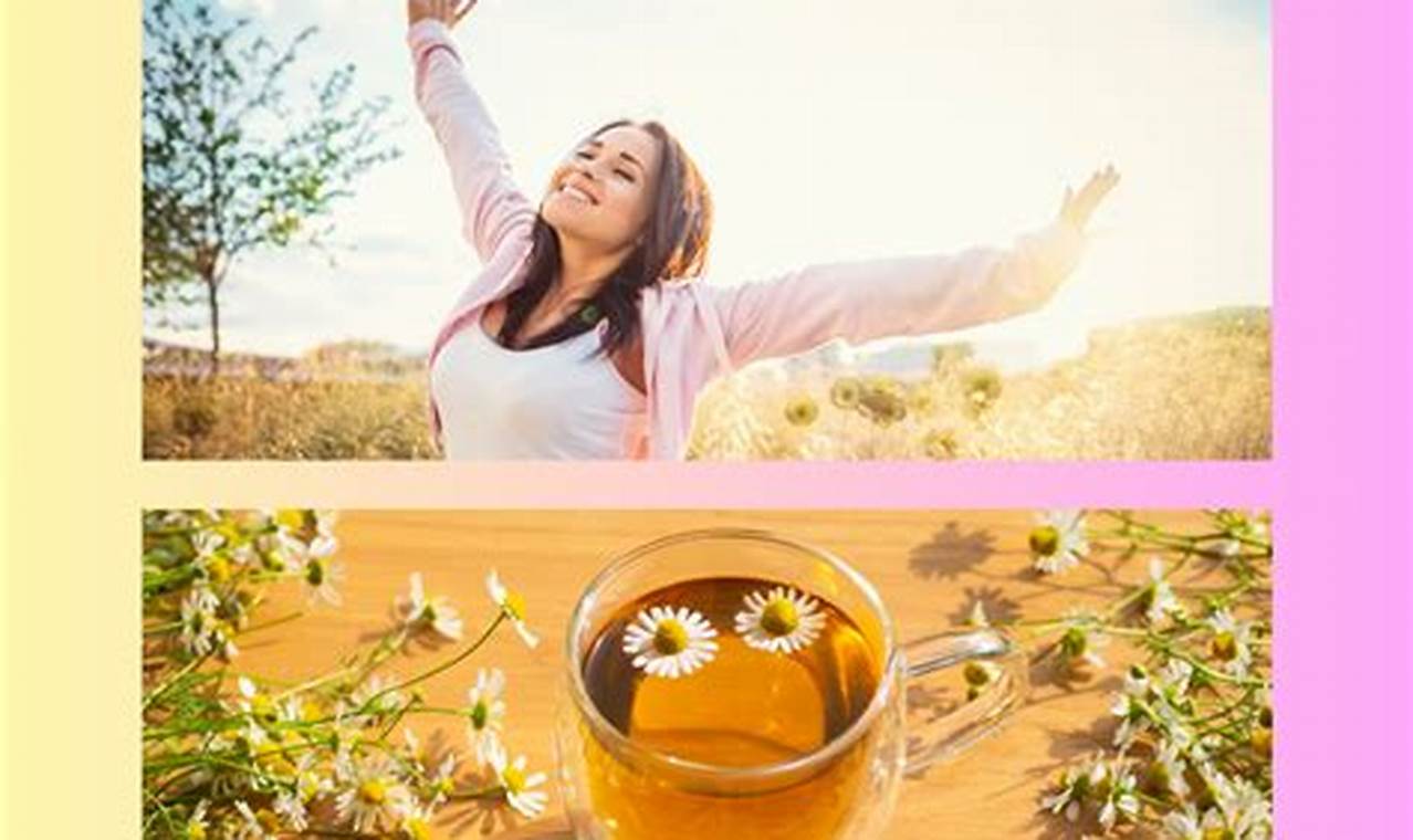 Boost Your Life: Herbal Wellness Secrets Unveiled! | The Ultimate Herbal Remedies Guide: Natural Healing for a Healthier Life