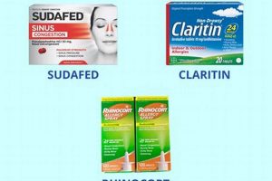 Natural Sinusitis Herbal Medication: Relief & Cure The Ultimate Herbal Remedies Guide: Natural Healing for a Healthier Life Natural Sinusitis Herbal Medication: Relief & Cure | The Ultimate Herbal Remedies Guide: Natural Healing for a Healthier Life