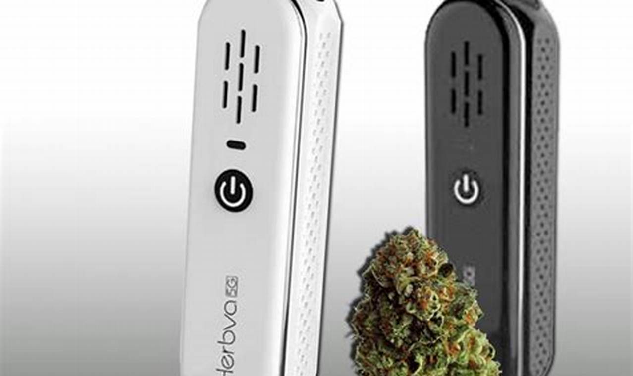 Best Herbal Vaporizador Device: Benefits & Options | The Ultimate Herbal Remedies Guide: Natural Healing for a Healthier Life