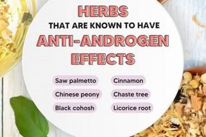 Natural Anti Androgen Herbal: Benefits & Uses The Ultimate Herbal Remedies Guide: Natural Healing for a Healthier Life Natural Anti Androgen Herbal: Benefits & Uses | The Ultimate Herbal Remedies Guide: Natural Healing for a Healthier Life